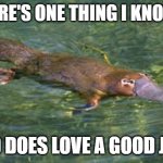 Platypus by Strongly Opinionated Platypus | IF THERE'S ONE THING I KNOW IT'S; GOD DOES LOVE A GOOD JOKE | image tagged in platypus by strongly opinionated platypus | made w/ Imgflip meme maker