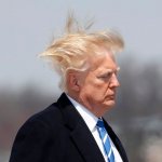 trump hair