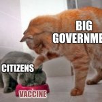 what could go wrong, take 3,722 | BIG GOVERNMENT; CITIZENS; VACCINE | image tagged in force feed cat,big government,vaccine | made w/ Imgflip meme maker