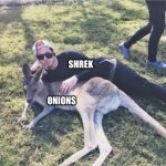 Josh Dun this could be us but... | SHREK; ONIONS | image tagged in josh dun this could be us but,shrek,onions | made w/ Imgflip meme maker