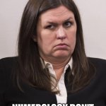 Huckabee Numerology | SARAH 336 NUMEROLOGY DON'T PLAY!!?3️⃣3️⃣6️⃣ | image tagged in crazy sarah huckabee sanders,numbers | made w/ Imgflip meme maker