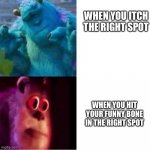 Relatable? | WHEN YOU ITCH THE RIGHT SPOT WHEN YOU HIT YOUR FUNNY BONE IN THE RIGHT SPOT | image tagged in monsters inc,relatable | made w/ Imgflip meme maker