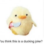 you think this is a ducking joke?