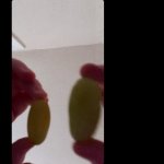 Long Grape