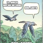 Migrating Birds? | YO...WHICH WAY ARE WE GOING; DUH...SOUTH; DUH...SOUTH | image tagged in migrating birds | made w/ Imgflip meme maker