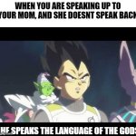 Truly Language of the Gods | WHEN YOU ARE SPEAKING UP TO YOUR MOM, AND SHE DOESNT SPEAK BACK; HE SPEAKS THE LANGUAGE OF THE GODS | image tagged in he's speaking the language of gods,vegeta,dragon ball super | made w/ Imgflip meme maker