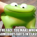 Froggg | THE FACE YOU MAKE WHEN SOMEBODY FARTS IN CLASS | image tagged in froggg | made w/ Imgflip meme maker