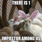 Yes sir its clear that the cat is not a bunny | THERE IS 1; IMPOSTOR AMONG US | image tagged in cat bunny ears imposter | made w/ Imgflip meme maker