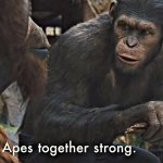 Ape