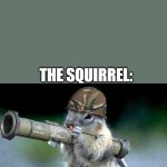 gimme the nuts | ME: TAKES NUTS FROM SQUIRREL AND LEAVES MY BAZOOKA THE SQUIRREL: | image tagged in memes,bazooka squirrel | made w/ Imgflip meme maker