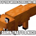 Minecraft fox | WHAT IF YOU WERE SCROLLING IMGFLIP; BUT DAMN THAT'S A NICE FOX | image tagged in minecraft fox | made w/ Imgflip meme maker