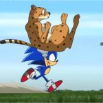 Sonic & The Cheetah