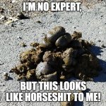 HP | I'M NO EXPERT, BUT THIS LOOKS LIKE HORSESHIT TO ME! | image tagged in h s | made w/ Imgflip meme maker
