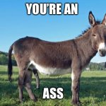 Mules | YOU’RE AN; ASS | image tagged in mules,ass | made w/ Imgflip meme maker