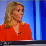 dana bash meme