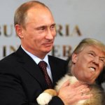 Putin's Puppy