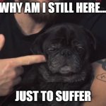 Edgar at Gunpoint | WHY AM I STILL HERE... JUST TO SUFFER | image tagged in edgar at gun point | made w/ Imgflip meme maker