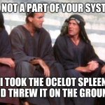 I threw it on the ground, splitter! | I'M NOT A PART OF YOUR SYSTEM; I TOOK THE OCELOT SPLEEN AND THREW IT ON THE GROUND | image tagged in life of brian,monty python | made w/ Imgflip meme maker
