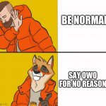 ok I am a furry | BE NORMAL; SAY OWO FOR NO REASON | image tagged in furry drake | made w/ Imgflip meme maker