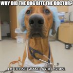 Bad Dad Joke Sept 30 2020 | WHY DID THE DOG BITE THE DOCTOR? HE DIDNT WANT A CAT SCAN. | image tagged in dog doctor | made w/ Imgflip meme maker