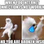 I N T E R N E T   F A I L U R E | WHEN YOU INTERNET CONNECTION IS NOT WORKING; AND YOU ARE BROKEN INSIDE | image tagged in persian cat meme | made w/ Imgflip meme maker