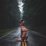 crying trex | ME WHEN I GET LOST | image tagged in crying trex | made w/ Imgflip meme maker