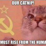 Communists cats | OUR CATNIP! WE MUST RISE FROM THE HUMANS! | image tagged in communist cat | made w/ Imgflip meme maker