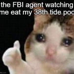 Approved crying cat | the FBI agent watching me eat my 38th tide pod | image tagged in approved crying cat | made w/ Imgflip meme maker