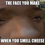 CJ smells cheese | THE FACE YOU MAKE; WHEN YOU SMELL CHEESE | image tagged in gta san andreas | made w/ Imgflip meme maker