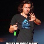 Harry Styles meme about bad hair | STOP! WHAT IN GODS NAME DID YOU DO TO HER HAIR?!? | image tagged in one direction harry styles | made w/ Imgflip meme maker