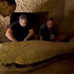 13 Mummies Found In Egypt
