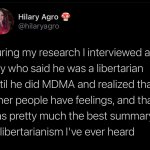 Summary of libertarianism