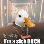 I'm a sick duck meme