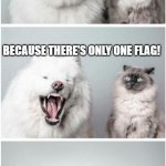 Dog telling cat joke | WHY CAN'T YOU SWIM AT ST KILDA BEACH? BECAUSE THERE'S ONLY ONE FLAG! | image tagged in dog telling cat joke,saints,sports,afl,memes,jokes | made w/ Imgflip meme maker