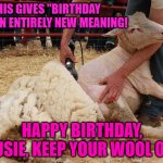 Sheep Shearing | THIS GIVES "BIRTHDAY SUIT" AN ENTIRELY NEW MEANING! HAPPY BIRTHDAY, SUSIE, KEEP YOUR WOOL ON! | image tagged in sheep shearing | made w/ Imgflip meme maker