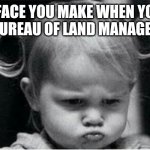 Angry baby girl | THE FACE YOU MAKE WHEN YOU'RE THE BUREAU OF LAND MANAGEMENT | image tagged in angry baby girl | made w/ Imgflip meme maker