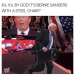 Bernie With Steel chair