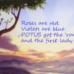 If this doesn't smack of the end times. | Roses are red
Violets are blue
POTUS got the 'rona
and the first lady too | image tagged in love poem,memes,live by the sword,wear a mask,covid-19,trump | made w/ Imgflip meme maker