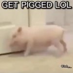 Get Pigged Lol GIF Template