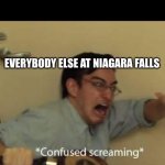 Niagara falls | ME DROPS MY KID OFF; EVERYBODY ELSE AT NIAGARA FALLS | image tagged in funny memes | made w/ Imgflip meme maker