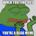 pepe cry | WHEN YOU FIND OUT YOU'RE A DEAD MEME | image tagged in pepe cry | made w/ Imgflip meme maker