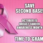 Breast cancer awareness. Save Second Base! | SAVE
SECOND BASE! OCTOBER IS
BREAST CANCER
AWARENESS MONTH; TIME TO 'GRAM! | image tagged in breast cancer awareness | made w/ Imgflip meme maker