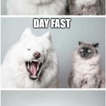 Dog telling cat joke | WHY DON'T JEWS PRAY ON YOM KIPPUR? DAY FAST | image tagged in dog telling cat joke,memes,joke,cats,dogs,jews | made w/ Imgflip meme maker