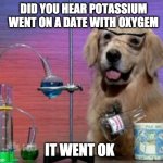 doge | DID YOU HEAR POTASSIUM WENT ON A DATE WITH OXYGEM; IT WENT OK | image tagged in science dog | made w/ Imgflip meme maker