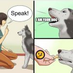 ??????????????????????????????????????????????????????? | I AM YOUR DOG; 🤔 | image tagged in wikihow dog training | made w/ Imgflip meme maker