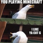 Screaming seagull | OH; YOU PLAYING MINECRAFT; I LIKE YA CUT G; EEEEEEEEE | image tagged in screaming seagull | made w/ Imgflip meme maker