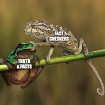 FB Fact Checkers | FACT CHECKERS; TRUTH & FACTS | image tagged in frog chameleon,truth,facts | made w/ Imgflip meme maker