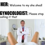 Her She Shed meme