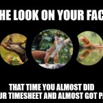 Missed It By This Much | THE LOOK ON YOUR FACE; THAT TIME YOU ALMOST DID YOUR TIMESHEET AND ALMOST GOT PAID | image tagged in almost,timesheet reminder,timesheet meme,task failed successfully | made w/ Imgflip meme maker
