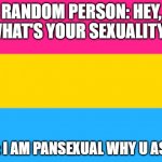 ✪ ω ✪ | RANDOM PERSON: HEY, WHAT'S YOUR SEXUALITY? ME: I AM PANSEXUAL WHY U ASK? | image tagged in pansexual flag | made w/ Imgflip meme maker